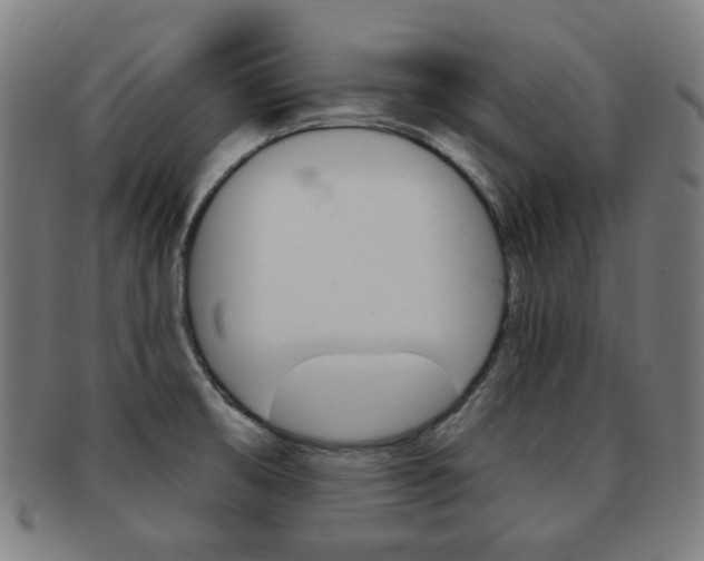 X0000091891474200709051035