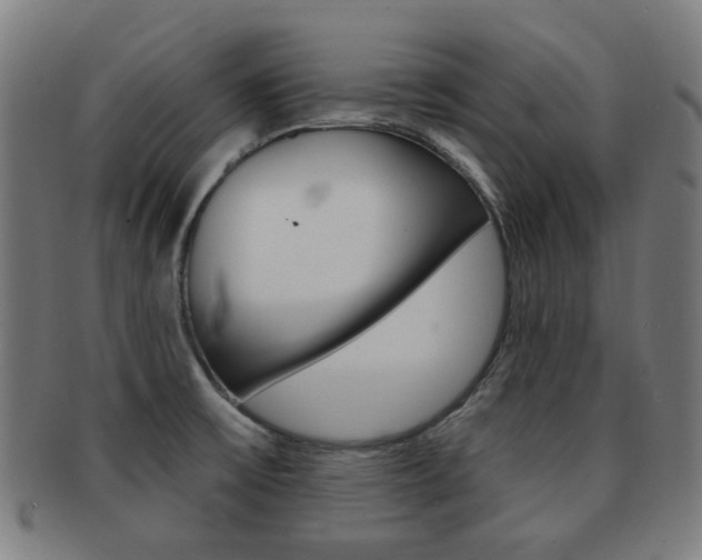 X0000091891475200709051035