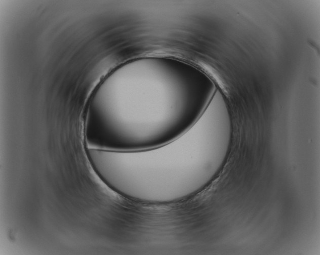 X0000091891476200709051035