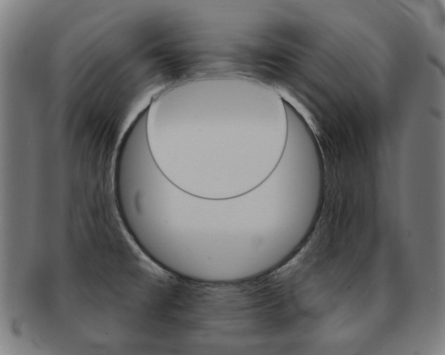 X0000091891477200709051035