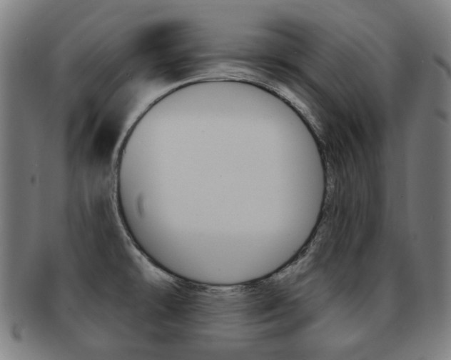 X0000091891478200709051035