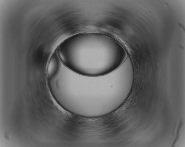 X0000091891479200709051035