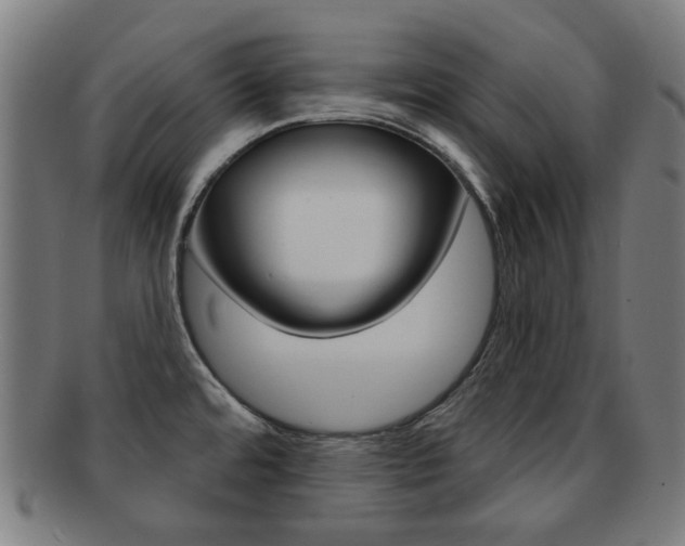 X0000091891480200709051035