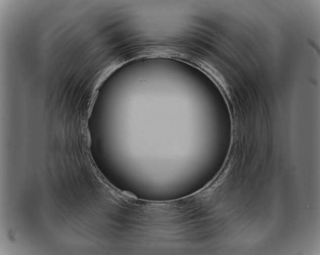 X0000091891481200709051035