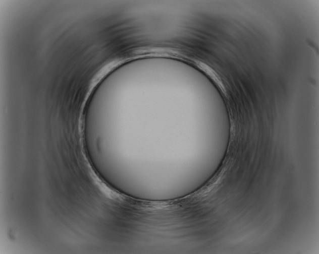 X0000091891482200709051035