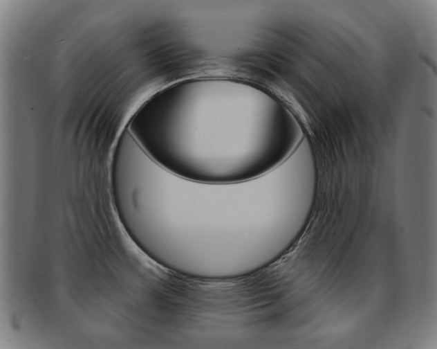 X0000091891483200709051035