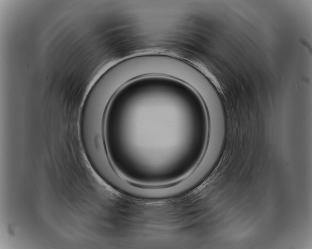X0000091891484200709051035