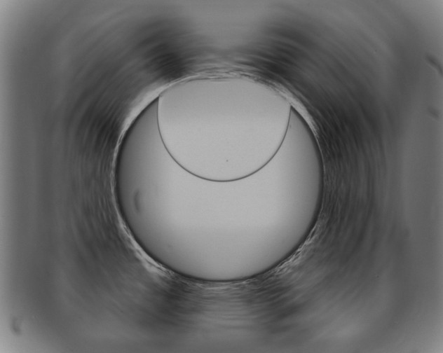 X0000091891485200709051035