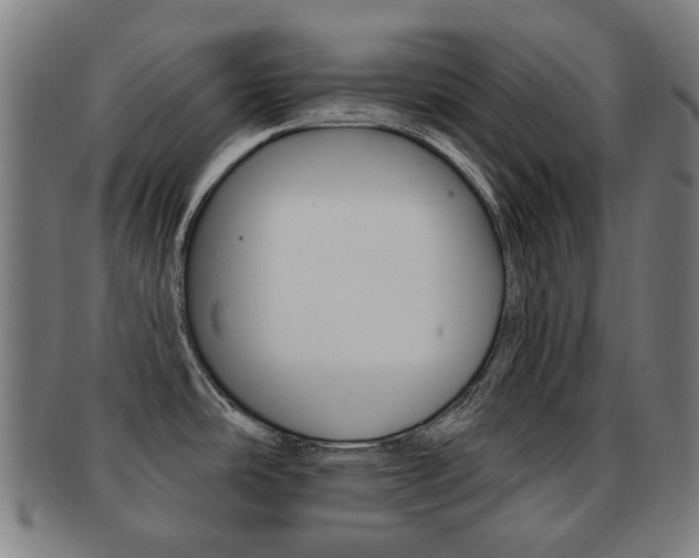 X0000091891486200709051035