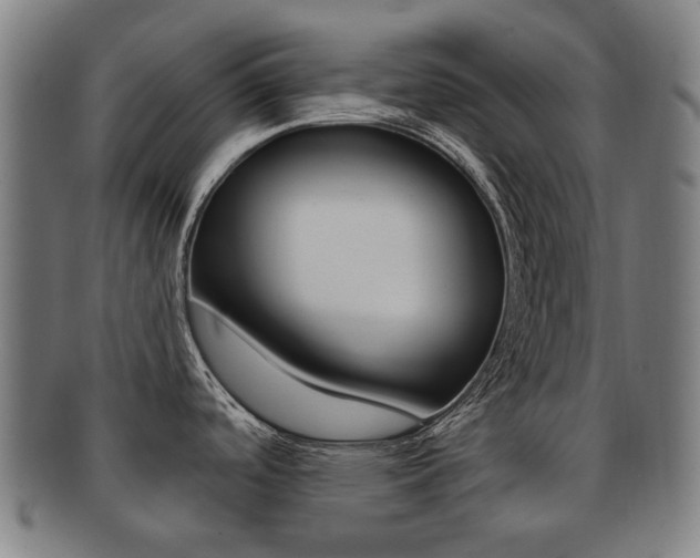 X0000091891488200709051035