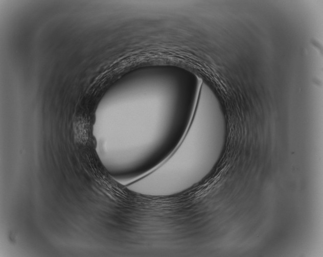 X0000091891490200709051034