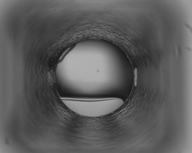 X0000091891491200709051034