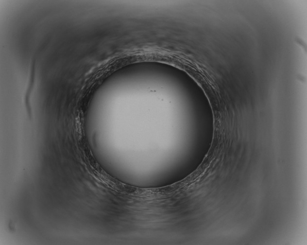 X0000091891493200709051034