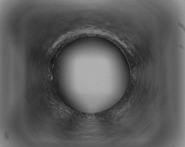 X0000091891495200709051034