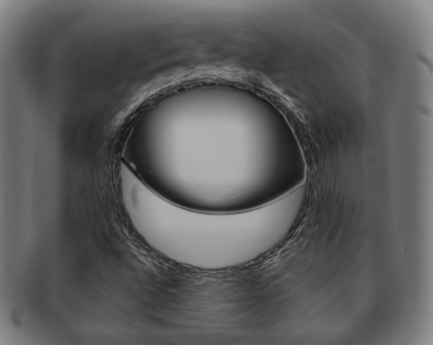 X0000091891496200709051034