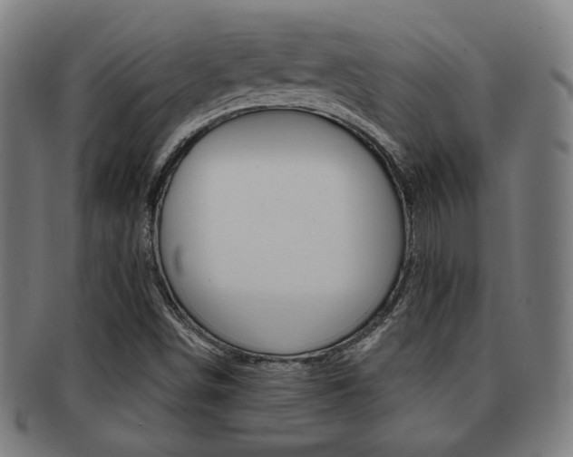 X0000091891498200709051034