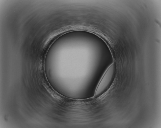 X0000091891499200709051035