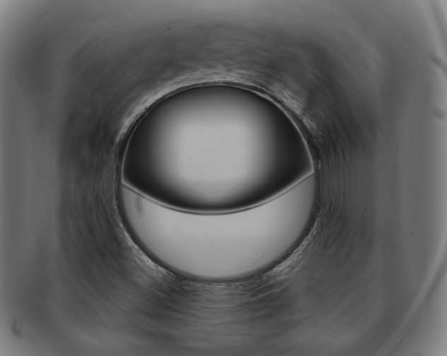 X0000091891500200709051035