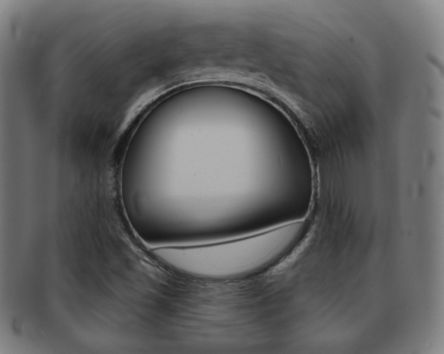 X0000091891501200709051035
