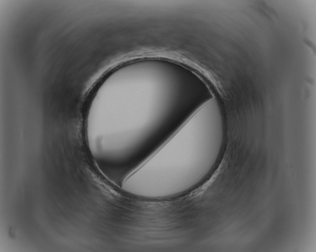 X0000091891502200709051035