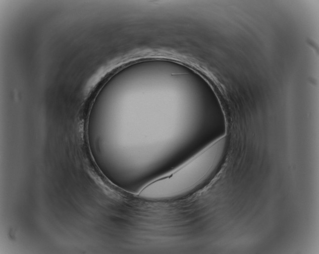 X0000091891503200709051035