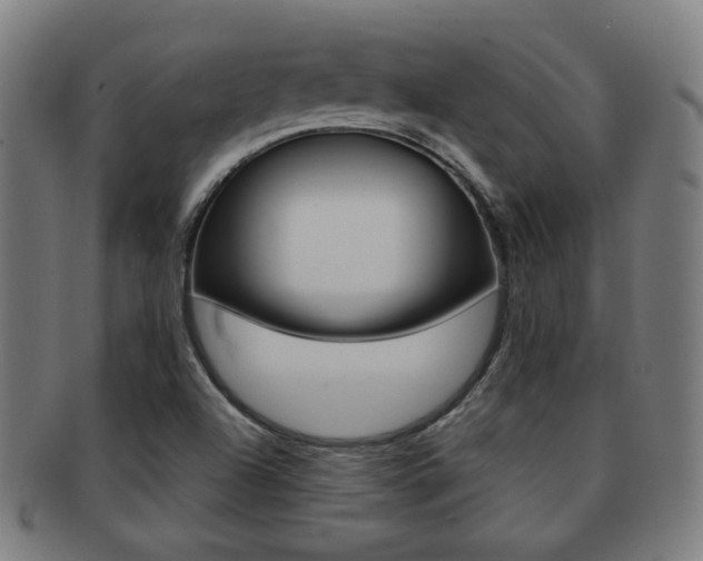 X0000091891504200709051035