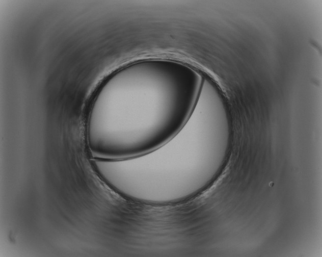 X0000091891506200709051035