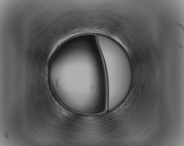 X0000091891508200709051035