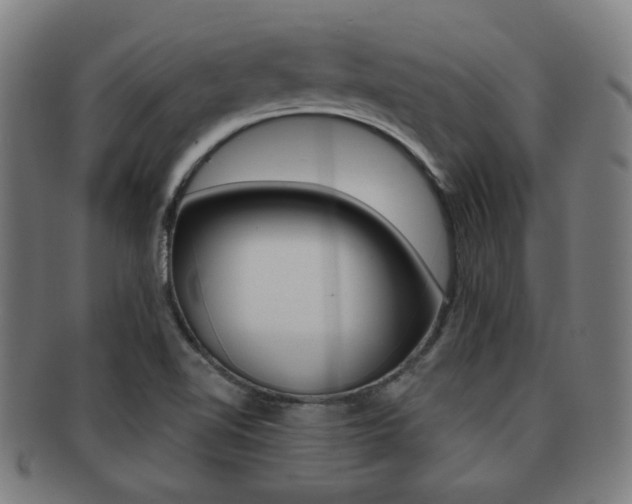 X0000091891510200709051035