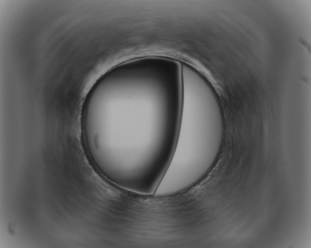 X0000091891512200709051035