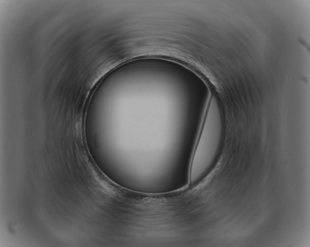 X0000091891513200709051035