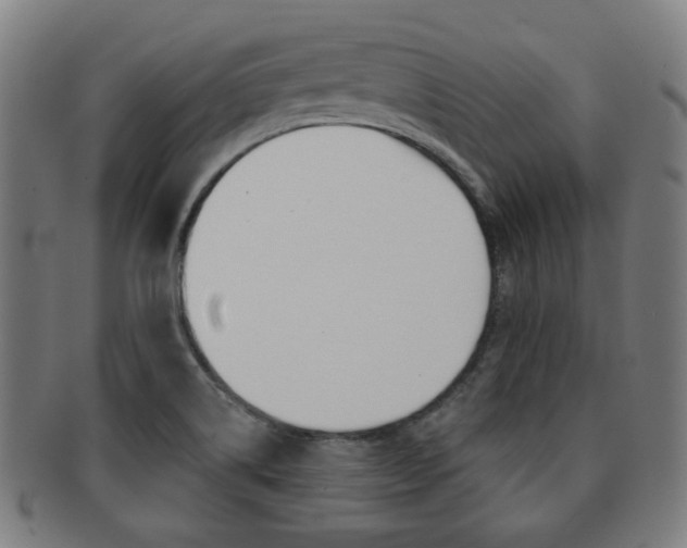 X0000091891514200709051035