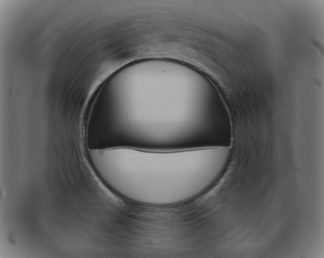 X0000091891517200709051035