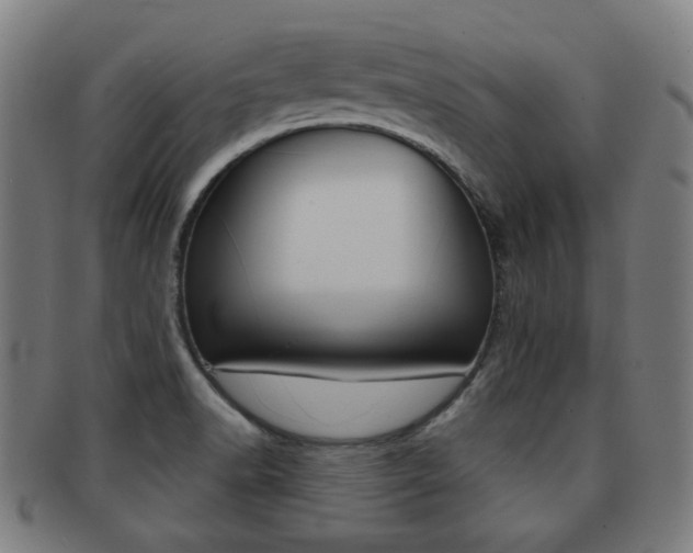 X0000091891518200709051035
