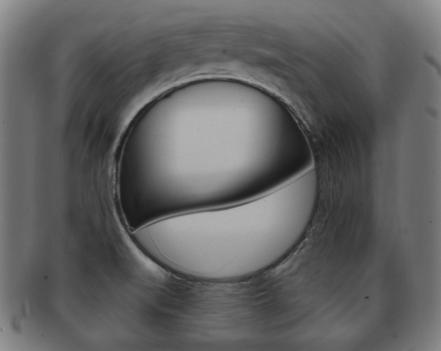X0000091891519200709051035