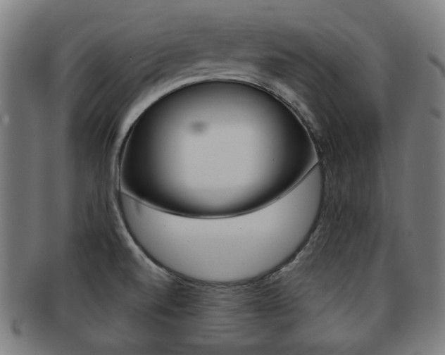 X0000091891520200709051035