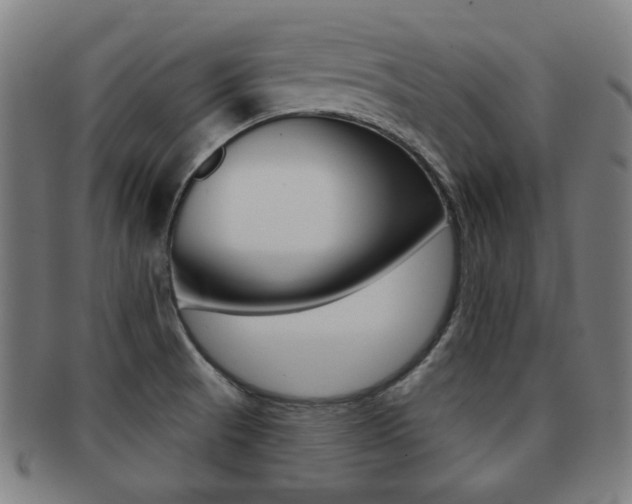 X0000091891521200709051035