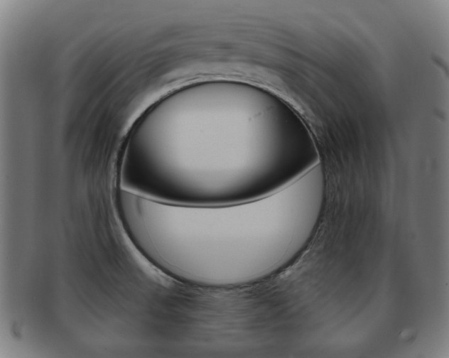 X0000091891523200709051035