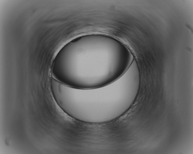 X0000091891524200709051035