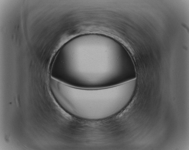 X0000091891525200709051035