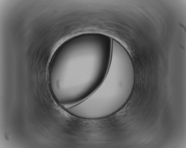 X0000091891527200709051035