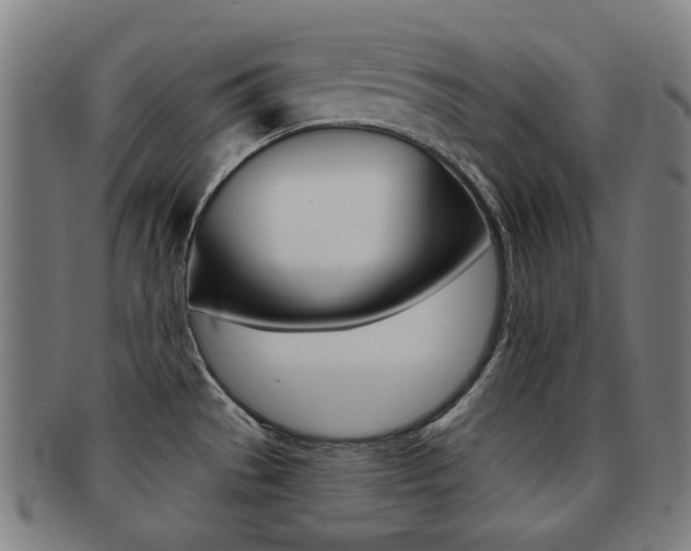 X0000091891529200709051035