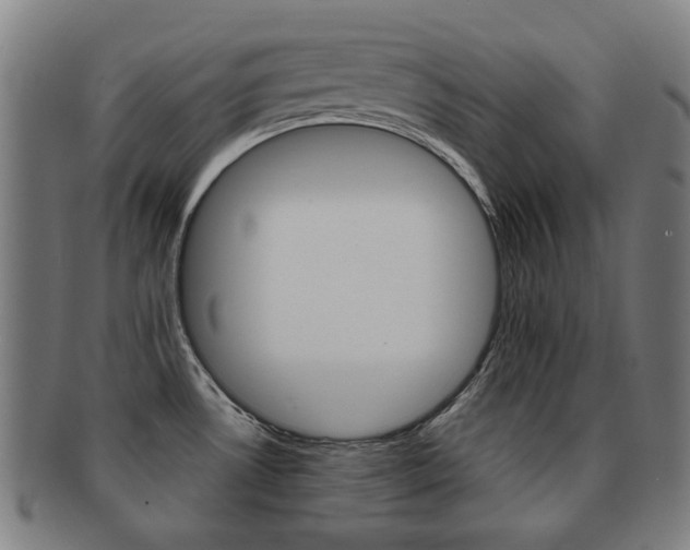 X0000091891530200709051035
