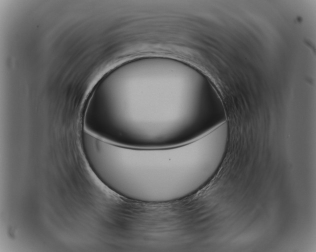 X0000091891531200709051035