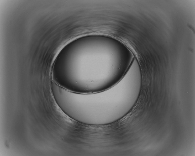X0000091891532200709051035