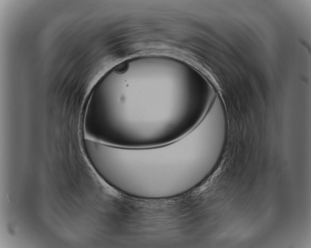 X0000091891533200709051035