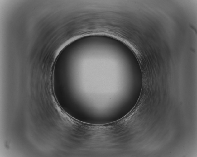 X0000091891534200709051035