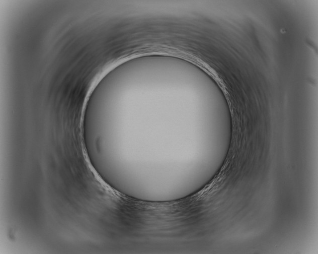 X0000091891536200709051035