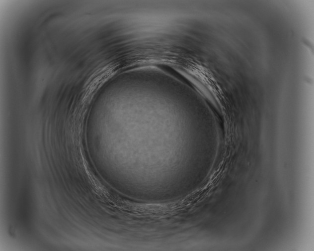 X0000091890001200709051352
