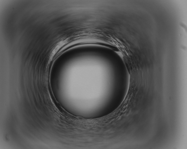 X0000091890003200709051352